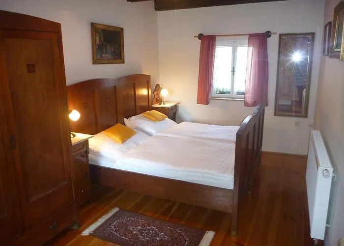 Olsina 31 - Apartman Horní Planá